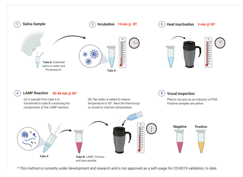 COVID-19 Research Briefing: Focus on Testing - PrimerAI