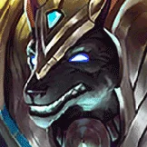 NASUS