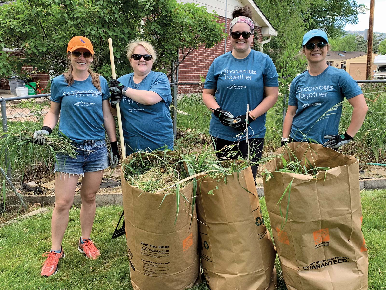 Four Elevations Credit Union employees doing volunteer yard work during prosperity month