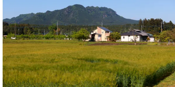 ワンコ連れでも安心！ペット旅行におすすめの観光スポットと宿泊先