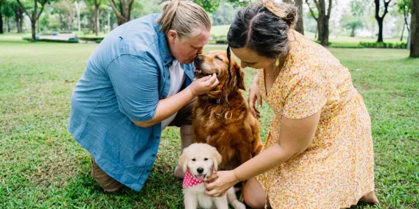 犬にじゃがいもを与える際の安全ガイド