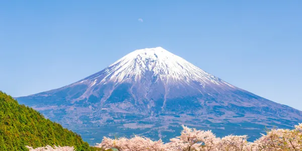 ワンコ連れでも安心！ペット旅行におすすめの観光スポットと宿泊先