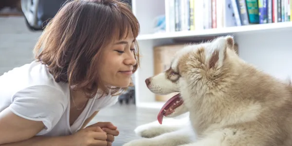 りんごで愛犬の健康を守ろう：効果と与え方ガイド