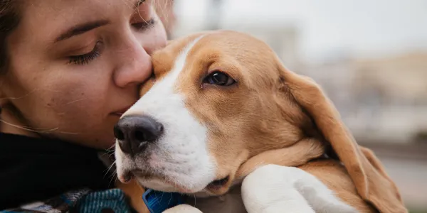 「犬のトイレしつけの秘訣：ストレスフリーで始める方法」