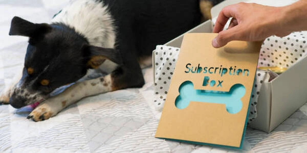 dog subscription