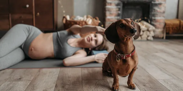 「犬のトイレしつけの秘訣：ストレスフリーで始める方法」