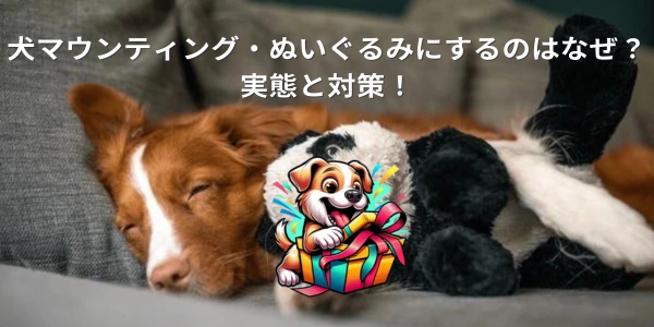 犬マウンティング・ぬいぐるみにするのはなぜ？実態と対策！