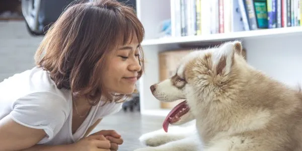 なぜ犬はこんなにかわいいのか？その魅力を解説