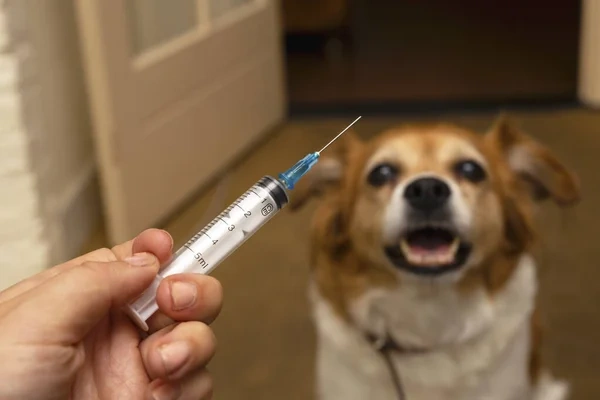 Rabies vaccine