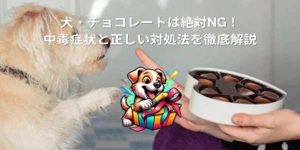 犬・チョコレートは絶対NG！中毒症状と正しい対処法を徹底解説