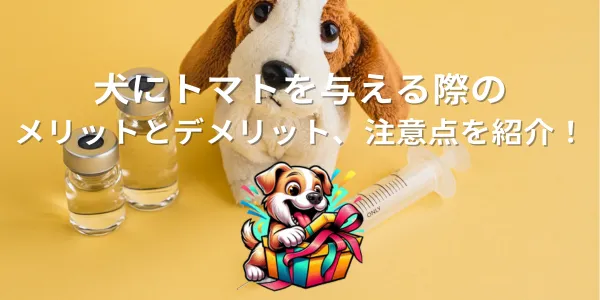 犬にトマトを与える際のメリットとデメリット、注意点を紹介！