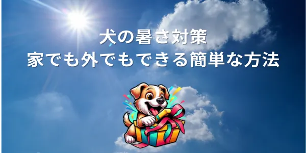 犬の暑さ対策：家でも外でもできる簡単な方法