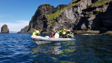 Seabirds And Cliff Adventures Tours