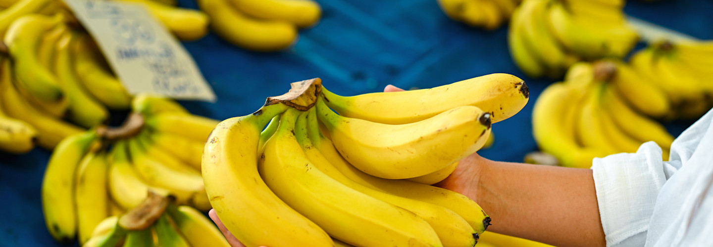 Fiestas, copas, muchas comida… pero ya estamos inmersos en 2026 y es hora de que el estómago se encarrile. Y estos productos ayudan a lograrlo.