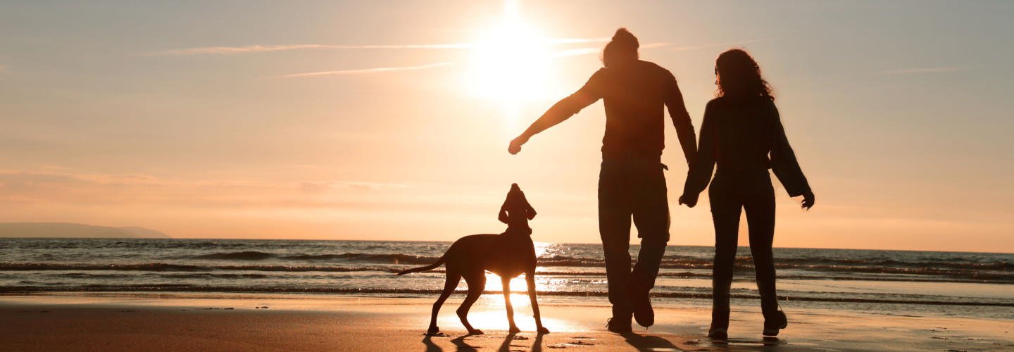 Pareja con perro de familia