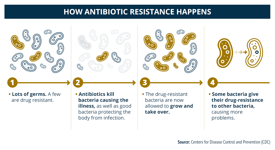 INFOGRAPHIC: Do You Really Need to Take Antibiotics?