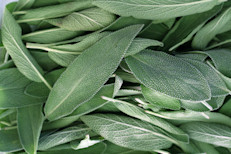 La salvia es una hierba fuerte, áspera y seca, aunque con gran fragancia. Fue usada durante siglos como una especia en la cocina y como un remedio tradicional para la ronquera, tos, y dolor de boca o garganta. También se aprovecha para combatir la inflamación, indigestión, sudoración excesiva, mejorar el estado de ánimo y fortalecer la memoria. En la antigüedad, se pensaba que podía prolongar la vida. 