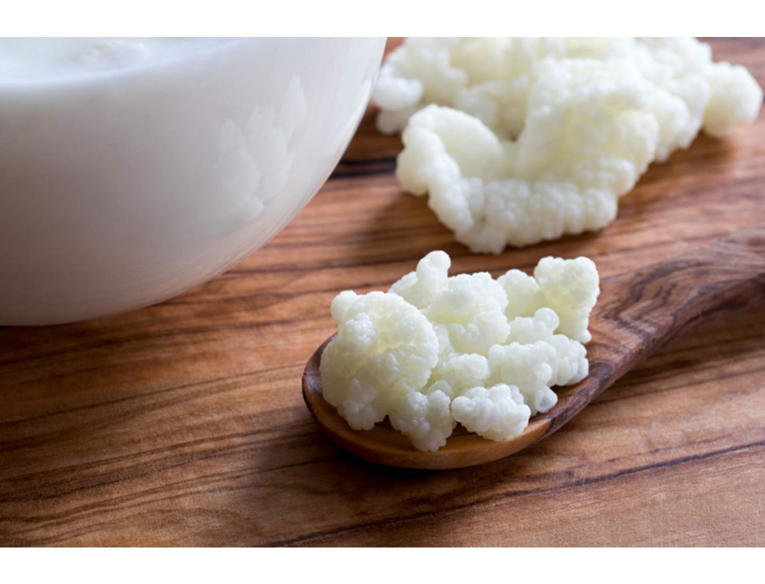 El búlgaro o kéfir, que en turco significa "bienestar" o "sentirse bien", es un alimento que se produce al agregar leche de oveja, cabra o vaca, a una mezcla de bacterias y levaduras para que fermenten. Esto da lugar a un probiótico con muchas propiedades para la salud.