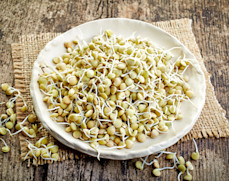 Las lentejas son una de las mayores fuentes de proteínas de origen vegetal. A esto se le suma su riqueza en carbohidratos complejos, fibra dietética, ácido fólico, triptófano, minerales, como cobre, fósforo, hierro, magnesio, manganeso, potasio y zinc, y algunos aminoácidos esenciales. Gracias a esta composición nutritiva, su consumo se asocia a muchos beneficios para la salud.