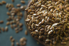 El lino ayuda a estimular el metabolismo y mejorar el síndrome metabólico gracias a su rico contenido de fibra, proteínas, ácidos grasos omega‑3, antioxidantes y vitaminas. Aunque la evidencia más sólida sobre estos beneficios se obtuvo a partir de estudios en animales, los especialistas no descartan la posibilidad de aplicarlos en humanos.