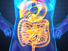 La capacidad del B‑glucano para reducir los niveles de colesterol está relacionada con su viscosidad y fermentabilidad. Ambas características le permiten formar una fina capa que tapiza las paredes del intestino que actúa como una barrera física reduciendo la absorción del colesterol de los alimentos y aumentando su eliminación.