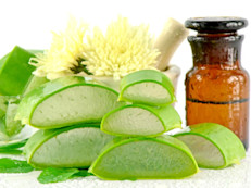 El aloe vera es una excelente opción natural para fortalecer el cuero cabelludo, ya que penetra fácilmente en folículo piloso, permitiendo una limpieza profunda que a su vez favorece la irrigación sanguínea y la absorción de los nutrientes que necesita. Todas las noches masajea tu cuero cabelludo con gel de aloe vera.