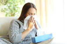A sus propiedades relajantes y antiinflamatorias se suman efectos digestivos, antisépticos, y sedantes, que, según ciertos estudios, ayudan a tratar problemas comunes, indigestión, reflujo, asma, o resfríos. Sin embargo, la evidencia científica que respalda esas bondades es insuficiente y se necesitan más estudios para corroborar sus efectos.