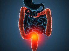 Los ruminococos son bacterias anaerobias gram positivo. Obtienen nutrientes al descomponer la celulosa que viene a través del sistema digestivo.  Son esenciales para la degradación del almidón resistente del colon, según la Biblioteca Nacional de Medicina. Además, ayudan a digerir la celulosa de los vegetales gracias a la enzima celulasa. 