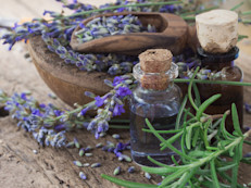 Apreciada por su aroma, la lavanda se utiliza en la medicina natural para elaborar numerosos remedios. El aceite que se extrae de sus flores contiene linalol, acetona, esteres, aldehídos y otros compuestos antisépticos que combaten las bacterias. Además, sería excelente para tratar lesiones cutáneas por sus propiedades regeneradoras y poder de cicatrización.