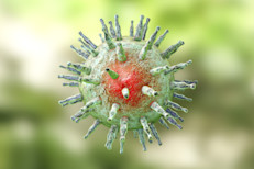 La neumonía puede ser causada por una infección bacteriana, viral o micótica. La bacteriana puede complicar muchas enfermedades que tienen origen viral, como la gripe, mientras que las neumonías virales suelen ser leves, aunque en algunos casos pueden causar síntomas graves, como el coronavirus del sistema respiratorio agudo severo (SARS) y el más reciente SARS‑CoV‑2 (COVID‑19). 
