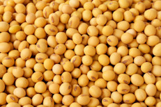 "Si me preguntan si la soya es un alimento es saludable, mi respuesta general es siempre, pero ¿comparado con qué?. "No necesariamente recomendaría comer más soya si tu dieta base ya es saludable", señala el doctor Meir Stampfer, profesor de nutrición y epidemiología en la Escuela de Salud Pública T.H. Chan de la Universidad de Harvard. 