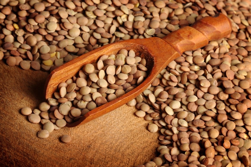 Las legumbres son una parte fundamental de la alimentación, ya que son una de las principales y más accesibles fuentes de proteínas y aminoácidos de origen vegetal. Uno de los miembros más importantes de esta familia son las lentejas. Aquí repasamos cuáles son sus beneficios para la salud y cómo puedes aprovechar todas sus propiedades.