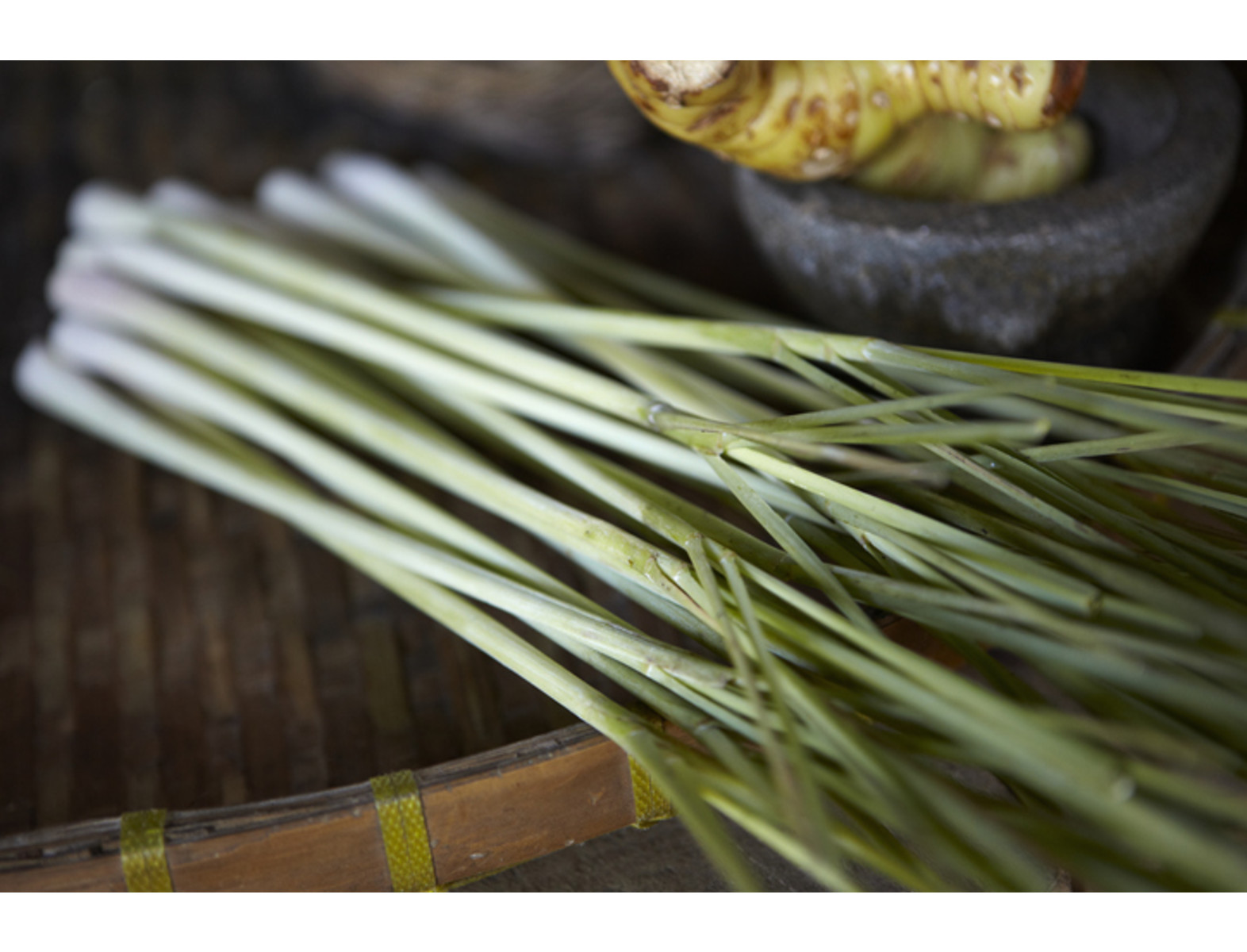 El zacate de limón, lemongrass o hierba de limón, es una planta con un importante sabor y aroma cítrico. Por este motivo, es común que se use con fines gastronómicos, aunque según muestran recientes investigaciones, también se puede aprovechar con fines medicinales gracias a que posee propiedades antimicrobianas, antioxidantes, antiinflamatorias, digestivas, cardioprotectoras y relajantes.
