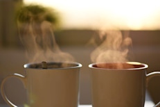Para hacer té de boldo coloca una cucharada de sus hojas secas en una taza o cuenco, agrega agua caliente (aproximadamente 250 ml), déjalas reposar por un tiempo y luego fíltralas. Se recomienda beber esta infusión después de cenar para potenciar sus efectos digestivos y sedantes.