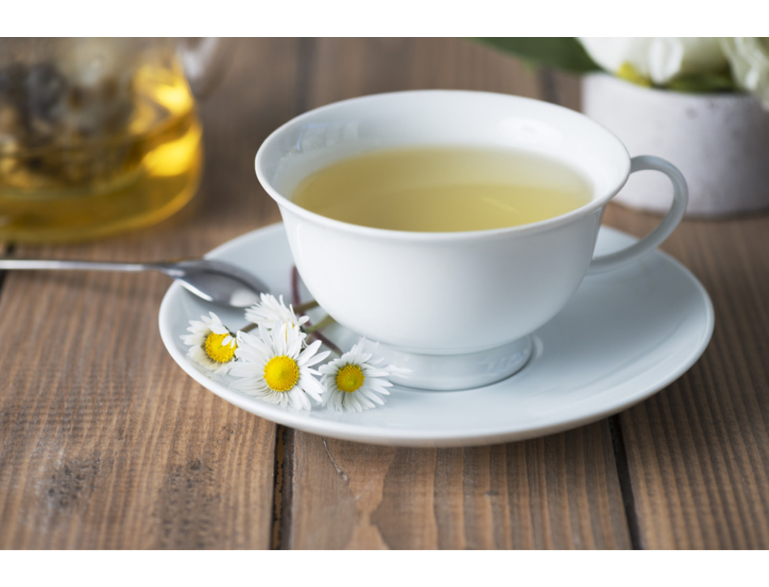 La manzanilla, también llamada camomila, es una de las flores más conocidas dentro del herbario popular. Esto se debe a su histórico uso como infusión para aliviar diferentes dolencias, cómo trastornos digestivos, insomnio, cólicos y gripe. Aquí te explicamos cómo puedes aprovechar esta fantástica flor.