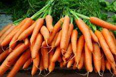 Las zanahorias son muy ricas en betacaroteno (un pigmento vegetal) y antioxidantes, ideales para combatir y prevenir la flacidez de la piel. Esto se debe a que el betacaroteno es uno de los elementos precursores de la vitamina A, que participa en varias funciones esenciales del organismo entre las cuales está incluida la hidratación y fortalecimiento cutáneo. 
