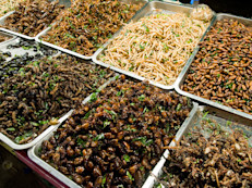 De acuerdo con la FAO incluir en la dieta el consumo de insectos podría ayudar a revertir los problemas mundiales de alimentación. Se estima que para el 2030 se tendrá que alimentar a más de 9 mil millones de personas así como a miles de animales que son criados anualmente. 