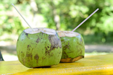 El agua de coco se encuentra dentro de los cocos verdes, ya que, a medida que el fruto madura, el líquido se sustituye por pulpa. También se diferencia de la leche de coco, que se produce a partir de una emulsión de la pulpa rallada de un coco maduro. Dependiendo la cercanía con el mar, tendrá un sabor más o menos salado. 