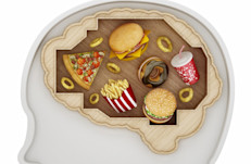 A muchas personas les resulta difícil dejar de comer. En lugar de disfrutar de unas cucharadas de helado, devoran todo el envase. Y lo hacen incluso cuando no tienen hambre. Los descubrimientos recientes, al observar los cambios en el cerebro, pueden cambiar la forma de tratar la obesidad en el futuro.