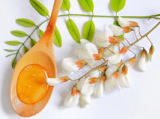 Este nombre puede resultar muy familiar, ya que engloba a más de 1 400 especies. Comúnmente esta planta se aprovecha en infusiones o usos tópicos. Según la evidencia científica, sería útil para tratar infecciones en la piel, urinarias y para desinfectar heridas. Los investigadores creen que la acacia tendría un efecto antibiótico de amplio espectro, gracias a sus alcaloides.