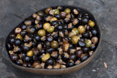 ¿Conoces el guaraná? Es la planta con mayor cantidad de cafeína en su interior (por encima de 7%) por lo que históricamente fue utilizada como un estimulante natural. Aquí repasamos todos sus beneficios y te contamos que precauciones debes tener en cuenta al momento de consumirla.