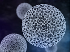 Los mismos tipos de VPH que infectan las áreas genitales pueden infectar la boca y la garganta, es el llamado VPH oral.  Algunos tipos del VPH oral (conocidos como “de alto riesgo”) pueden causar cáncer de cabeza y en el área del cuello. Otros tipos del mismo virus pueden causar verrugas en la boca o la garganta.