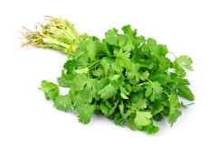 Además de su uso gastronómico, el cilantro es una hierba aromática muy efectiva para combatir el mal aliento ya que limpia la boca de las toxinas que provocan la llamada halitosis y es un excelente digestivo. Para hacer un enjuague bucal natural se agregan varias ramas de cilantro a dos tazas de agua y se hierve por unos cuantos minutos. Se cuela y se deja enfriar.