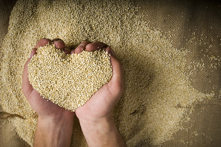 La quinua o quinoa es una semilla que se disfruta por su delicioso sabor y calidad nutritiva. A sus beneficios se le suma que  no contiene gluten, sin embargo, contiene ciertos compuestos que pueden afectar a algunas personas con enfermedad celíaca. Conoce aquí todas las características de este superalimento. 