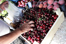 El contenido de antocianina varía dependiendo del tipo de cereza. Las cerezas rojas agrias frescas contienen por 1 taza 50 mg, mientras que las cerezas dulces crudas contienen 49 mg. Evita cerezas en almíbar por su contenido en azúcar y porque por el proceso de cocción se disminuye notablemente su contenido en antocianinas.