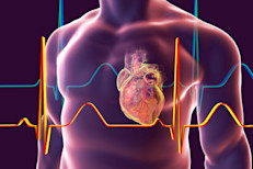 Además de subir la presión arterial, el consumo de grandes cantidades de sal también puede conducir a enfermedades cardíacas e insuficiencia cardíaca.