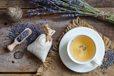 La lavanda es una planta ornamental por excelencia, aunque la ciencia dice que también puede ser aprovechada con fines medicinales, ya que posee muchos compuestos beneficiosos. Para disfrutar esas bondades se puede recurrir a sus aceites esenciales o productos cosméticos, sin embargo, hay otra opción efectiva que puedes incorporar: el té. 