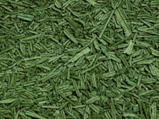 La espirulina, también conocida científicamente como Spirulina platenses, debe su nombre a su forma de espiral. Crece en los lagos y lagunas volcánicas, en aguas de pH alcalino y con un alto contenido de sales. Su hábitat natural se encuentra en África y América del Sur, sin embargo, hoy en día se cultiva en varios países del mundo como EE.UU., Tailandia y China. 