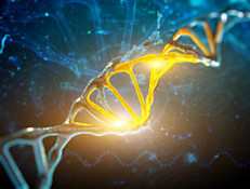Esta modalidad funcionaría a partir de renovar áreas claves del cerebro y así poder controlar la enfermedad de Parkinson, según encontró un estudio del Instituto Feinstein de Investigación Médica en Manhasset, Nueva York. Los investigadores se enfocaron en pacientes con parkinson, que habían recibido la llamada terapia genética GAD en un ensayo anterior. La GAD es una enzima que fomenta la producción de una sustancia en el cerebro que se encuentra relacionada con el control del movimiento.