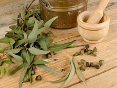 El aceite de eucalipto se usa comúnmente como descongestionante y expectorante en infecciones respiratorias y se usa como ingrediente de algunos enjuagues bucales y preparados dentales como un solvente endodóntico por sus propiedades antibacterianas para eliminar los microorganismos causantes del mal aliento (Natural Standard). Beber una infusión de eucalipto te ayudará a conseguir un aliento fresco.
